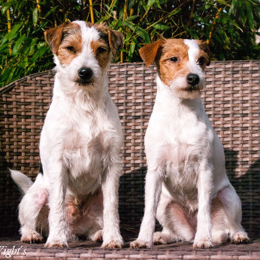 anna-und-indi